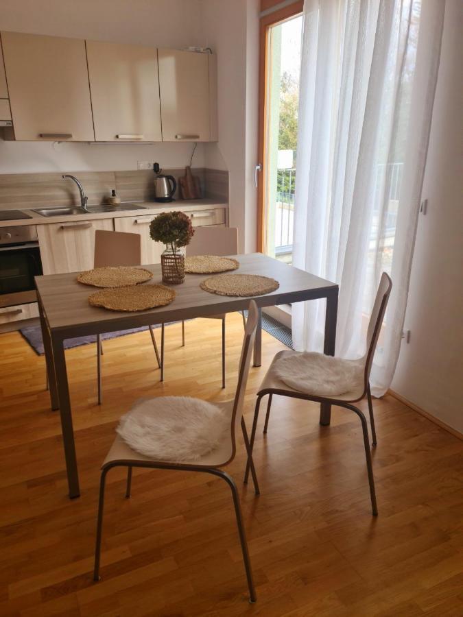 Appartement Pohorske Terase Gabi à Hočko Pohorje Extérieur photo